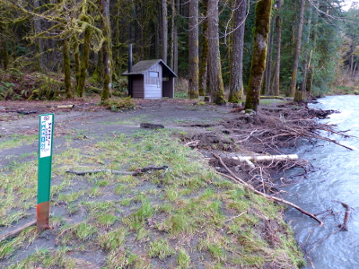 A large stretch of exposed tree roots is all that remains of the western half of the Aldwell Campground