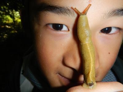 An extreme close up of a Banana Slug on a participant's face