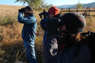 Three birders looking through binoculars from Experience Olympic