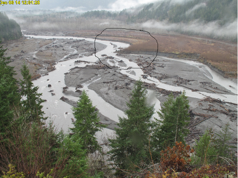 Photo showing a river channel, including areas lacking in vegetation