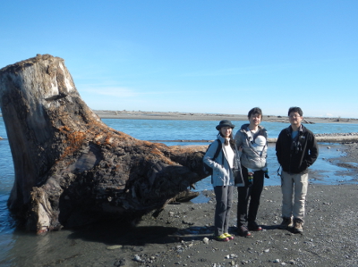 Three adults and one baby pose by a giant tree stump at the mouth of the Elwha River