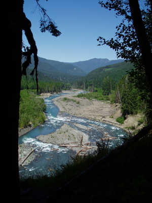 Washington State's Elwha River shown here in stunning blue with mountains in the background and framed by trees