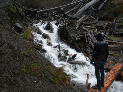 A downcut tributary of the former Lake Mills has created a depression of rushing water and woody debris