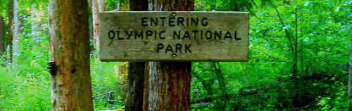 Close-up of a wooden sign that reads, "Entering Olympic National Park"