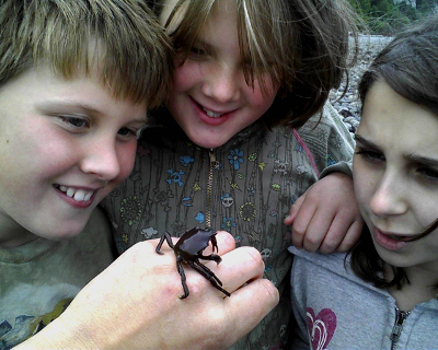 Close-up of three kids examining a Kelp Crab found on a Pacific Northwest tide pool tour