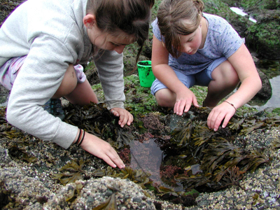 Two girls actively looking in a tidepool