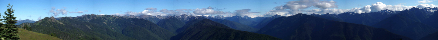Panoramic View of the Olympic Mountains from Hurricane Ridge including Lillian, Elwha, and Long Valleys