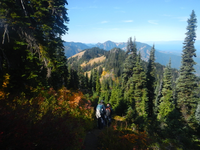 The backpacks of two hikers are barely visible as they hike among Subalpine Fir and shrubs ablaze in fall color