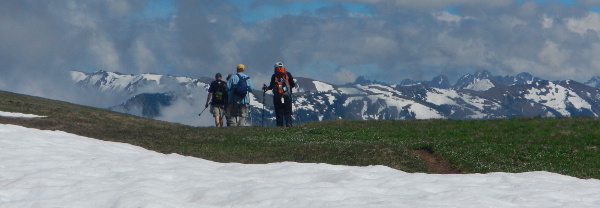 Four Olympic Peninsula hikers follow a small narrow trail across a subalpine meadow with a snow drift in the foreground and the Olympic mountains slightly shrouded by clouds in the background