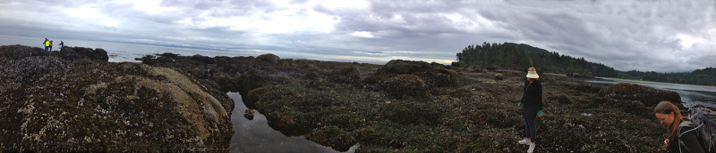 A large tide pool is visible at the end of a rocky point with land visible in the distance