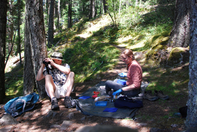 Your naturalist tour guide preparing a picnic lunch while a participant looks for wildlife with binoculars