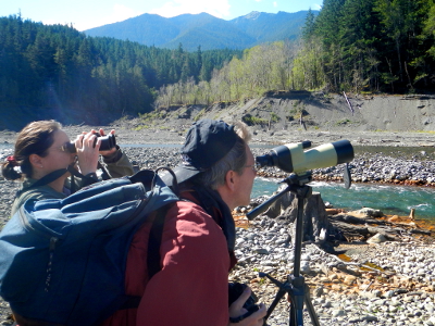 Two Elwha River hikers look through a spotting scope and binoculars at a Bald Eagle perched across the Elwha River