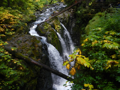 Three chutes of water stream over the Sol Duc Falls as viewed from the bridge above the river gorge in the fall