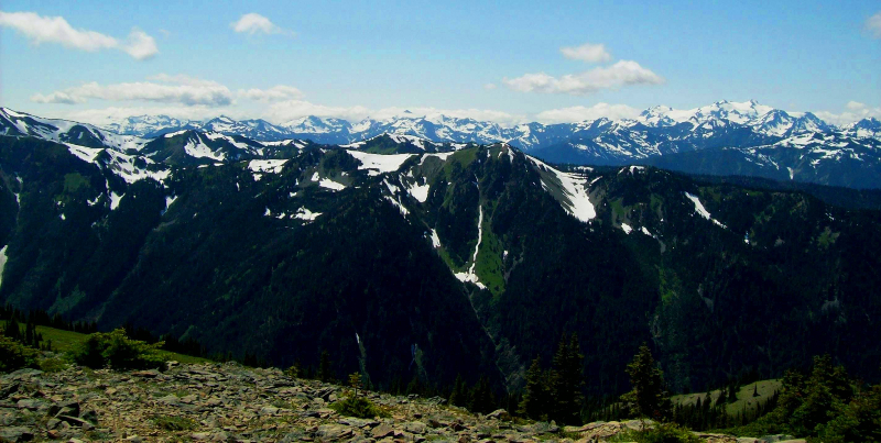 Late season snow presents a stunning view of the Olympic National Park mountains on a tour up to Hurricane Ridge