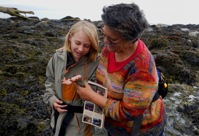 A grandmother holding a laminated Pacific Northwest tide pool guide looks at at very small tide pool snail that her granddaughter is holding in her outstretched hand