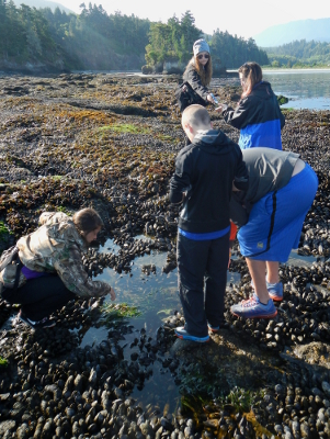 Five children of various ages gather around a Pacific Northwest tide pool created on a bed of California Mussels and search for animals