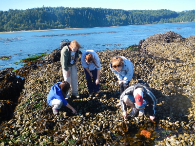 A group of five people of various ages on a mussel bed observing a Pacific Northwest tide pool with a large orange sea star