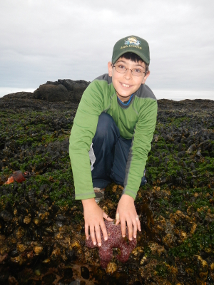 A smiling boy places both hands on a large purple common starfish on a rocky shore set against the Salish Sea