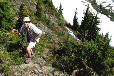 Hiker ascending to the top of a summit among stunted subalpine trees with a large snowfield in the background