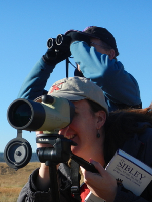 Olympic Guide and participant looking at birds with spotting scope and binoculars
