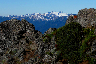 Glacier-covered Mount Olympus peeks up behind some lichen-covered rocks