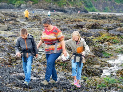Grandparent and two grandchildren walking gingerly on their first mussel bed