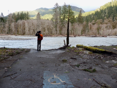 Photo taken in the Aldwell Campground in the Elwha River Valley showing a person standing looking out where a road just ends into a bloated Elwha River