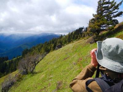 Hiker looking through binoculars at a distant rock and marmot